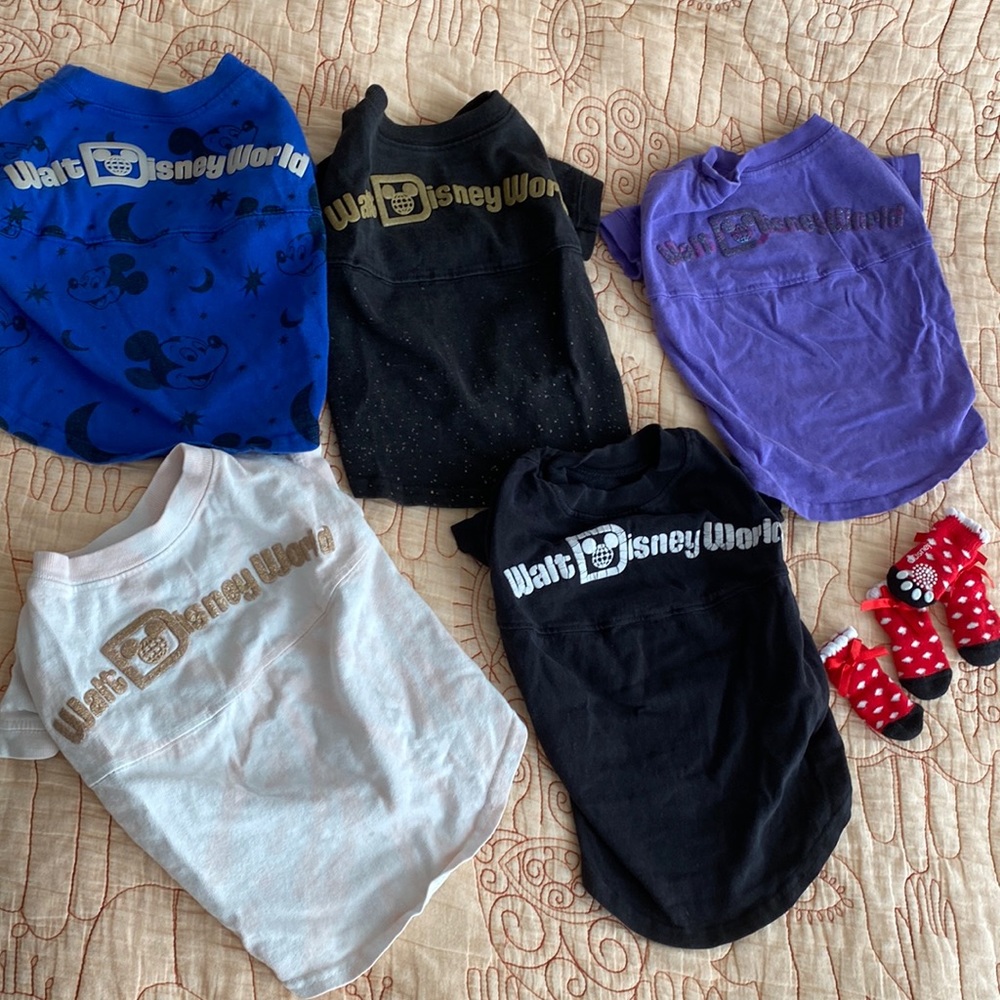 Lot of 5 Disneyworld small dog spirit jerseys and Minnie socks black purple gold